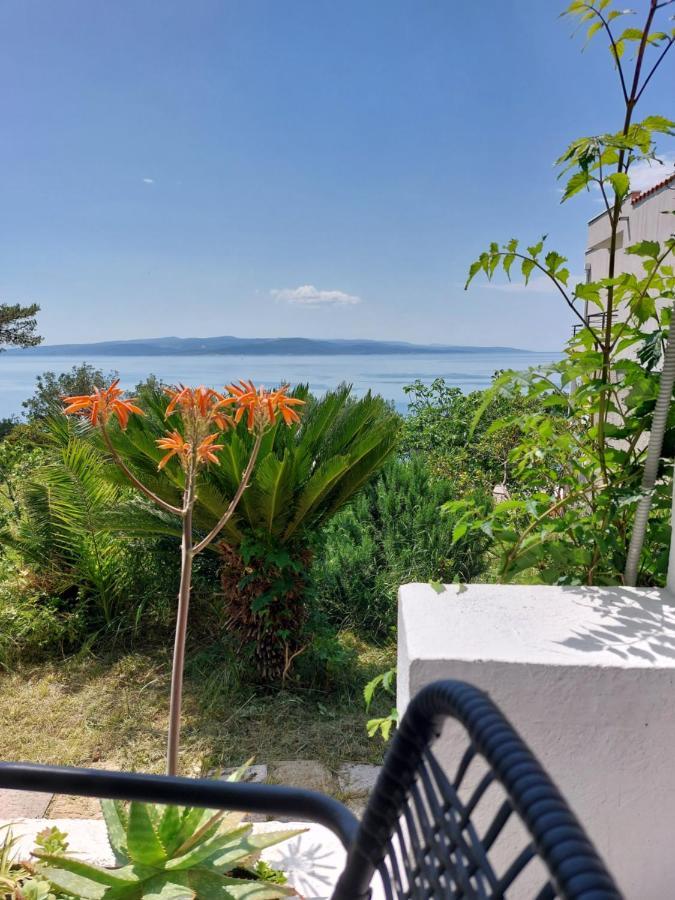Villa Bratus Promajna Exteriér fotografie